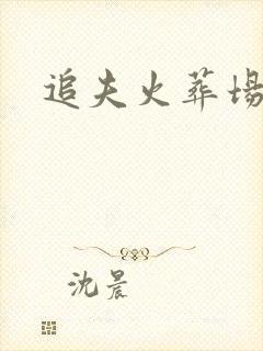 追夫火葬场小说封面