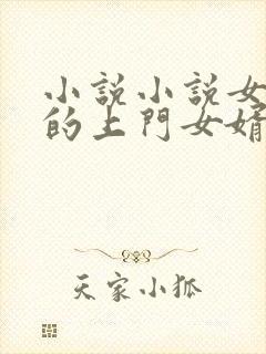 小说小说女总裁的上门女婿