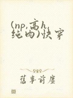 (np,高h,纯肉)快穿