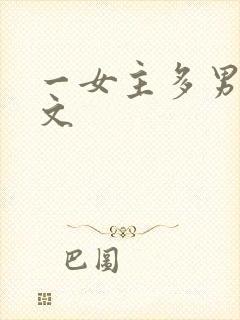一女主多男主h文封面