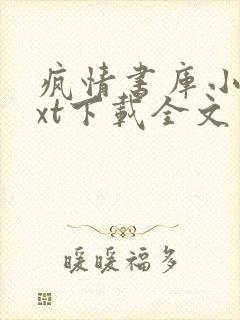 疯情书库小说txt下载全文封面