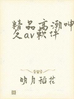 精品高潮呻吟久久av软件