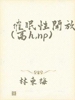 催眠性开放世界(高h,np)封面