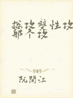 总攻双性攻玩坏那个攻