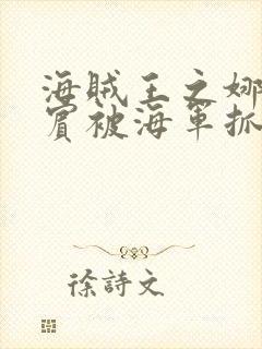 海贼王之娜美罗宾被海军抓住是第几