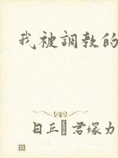 我被调教的经历