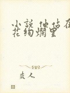 小说 他站在夏花绚烂里封面