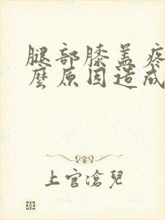 腿部膝盖疼痛什么原因造成的