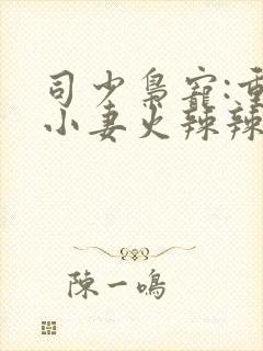 司少枭宠:重生小妻火辣辣