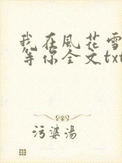 我在风花雪月里等你全文txt