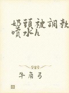 奶头被调教玩弄喷水h