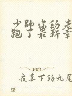 少帅你的老婆又跑了最新章节免费阅读