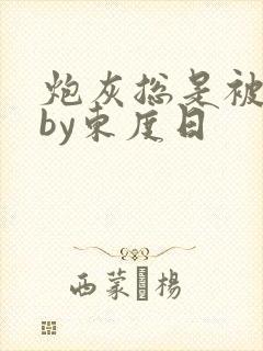 炮灰总是被觊觎by东度日封面