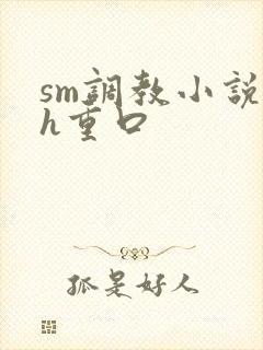 sm调教小说高h重口封面