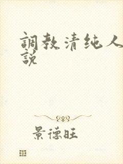 调教清纯人妻小说封面