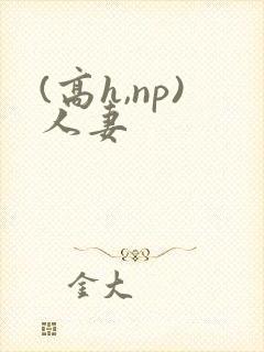 (高h,np)人妻封面