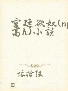 宫廷欲奴(np高h)小说