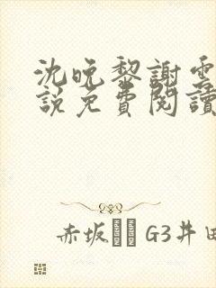 沈晚黎谢云迟小说免费阅读