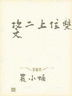 攻二上位双男主文