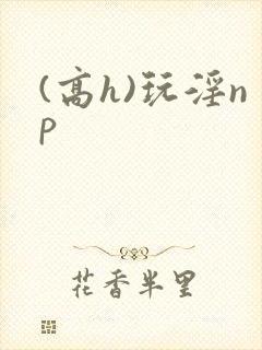 (高h)玩淫np