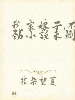 我家娘子,不对劲小说未删版全文