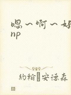 嗯～啊～好爽～np