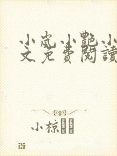 小岚小艳小说全文免费阅读最新章节