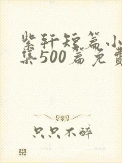 紫轩短篇小说合集500篇免费阅读封面