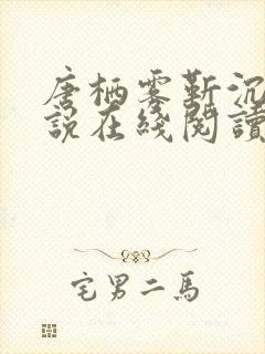 唐栖雾靳沉野小说在线阅读封面