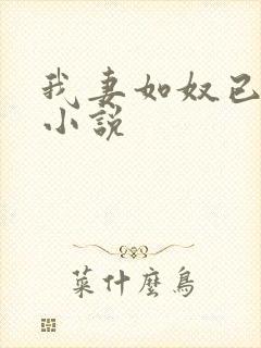 我妻如奴已完结小说封面