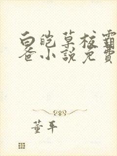 白皑草校霸的爸爸小说免费阅读