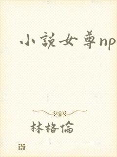 小说女尊nph