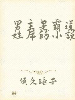 男主是霸道总裁姓席的小说