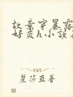 故意穿暴露被强好爽h小说在线看封面