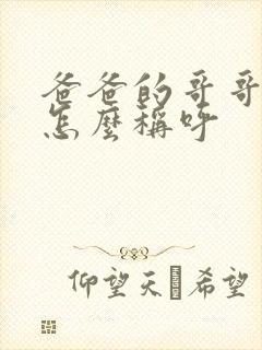 爸爸的哥哥老婆怎么称呼