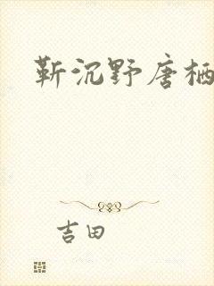 靳沉野唐栖雾