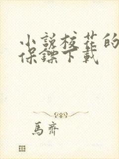 小说校花的贴身保镖下载