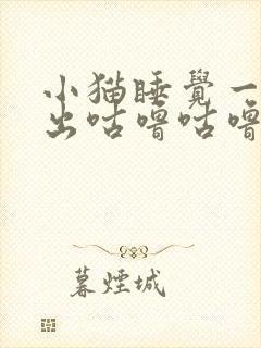 小猫睡觉一直发出咕噜咕噜的声音