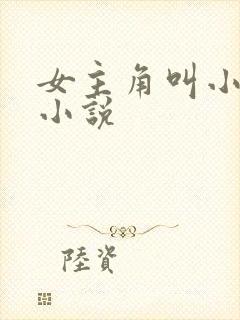 女主角叫小可的小说