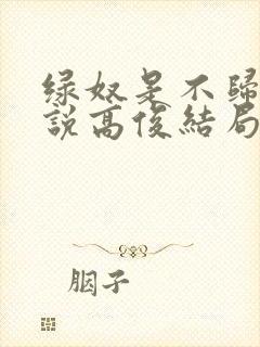 绿奴是不归路小说高俊结局