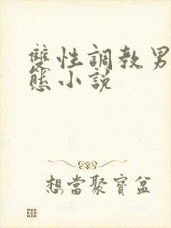 双性调教男奴变态小说封面