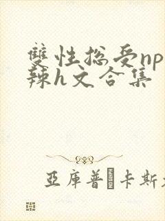 双性总受np高辣h文合集