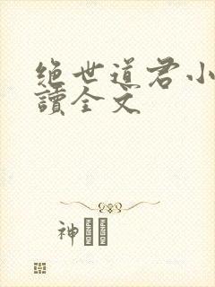 绝世道君小说阅读全文