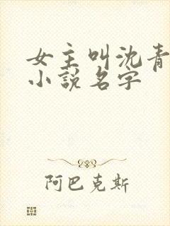 女主叫沈青禾的小说名字