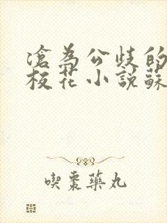 沧为公歧的清纯校花小说苏软软