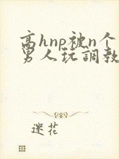 高hnp被n个男人玩调教