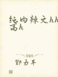 纯肉辣文hhh高h