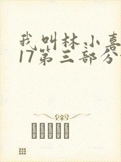 我叫林小喜今年17第三部分txt小说