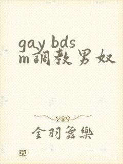 gay bdsm调教男奴