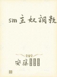 sm主奴调教文